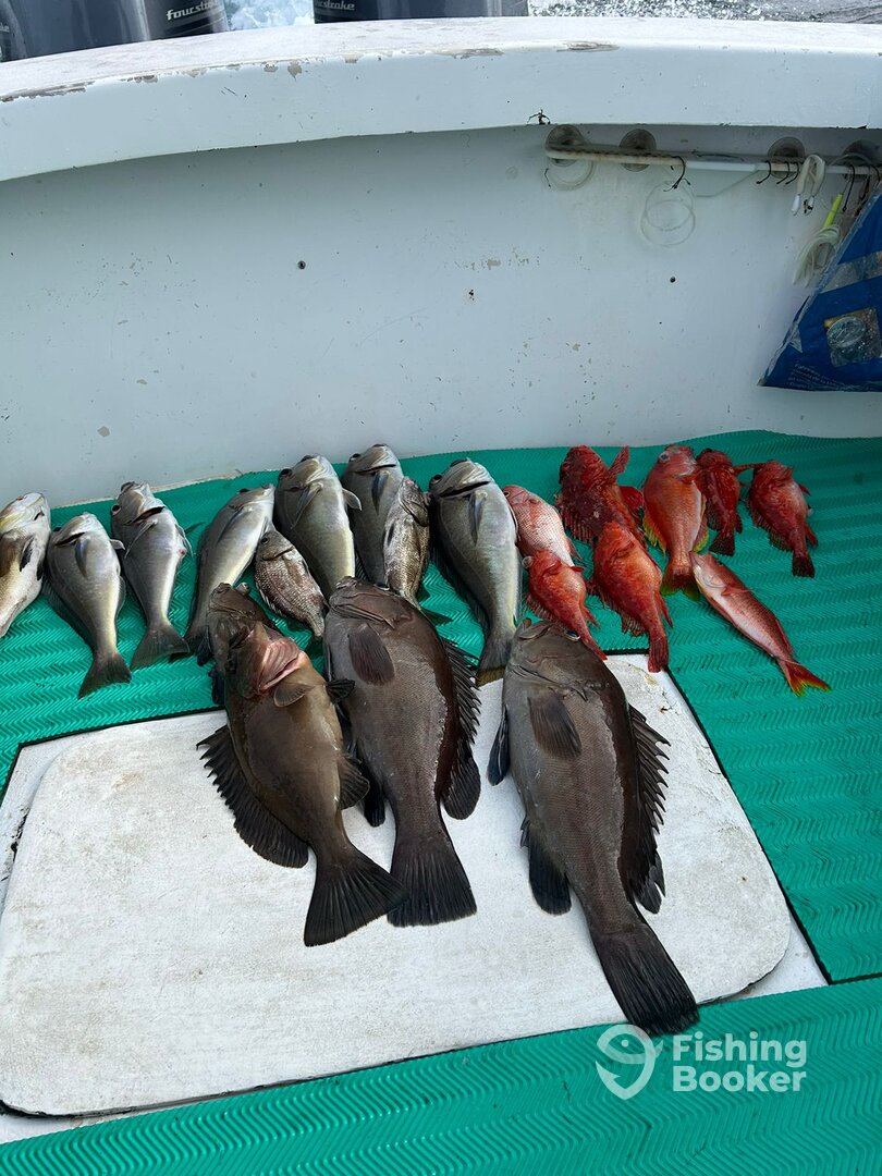 Herradura Report Photo 0