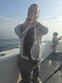 Narragansett Report Photo 1