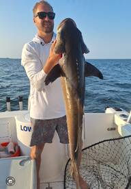 Cobia Season Ends September 15th