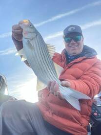 New Fall Striped Bass Listing 