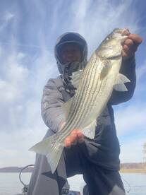 Woodbridge Report Photo 2