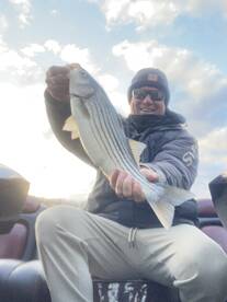 Woodbridge Report Photo 1