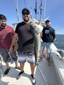 Hot Striped Bass Fishing Continues!!!