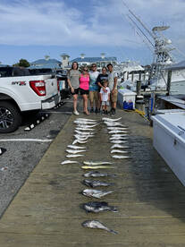 Tile Sea Bass and Mahi