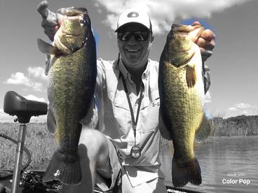 Fall froggin’