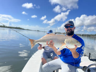 Bull reds and Tarpon
