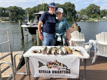 Pasadena Report Photo 2