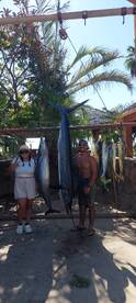 San Jose del Cabo Report Photo 1