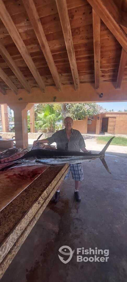San Jose del Cabo Report Photo 0
