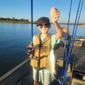 Grapevine Report Photo 1