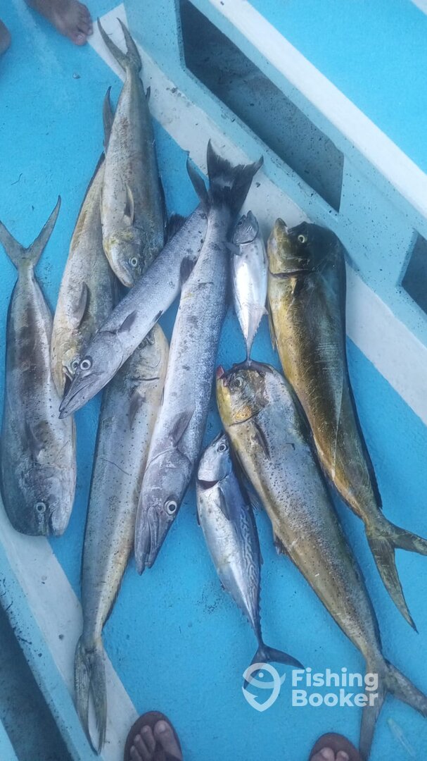 Mahahual Report Photo 0