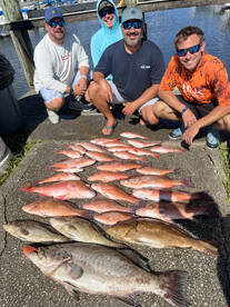 10 hr trip meat haul