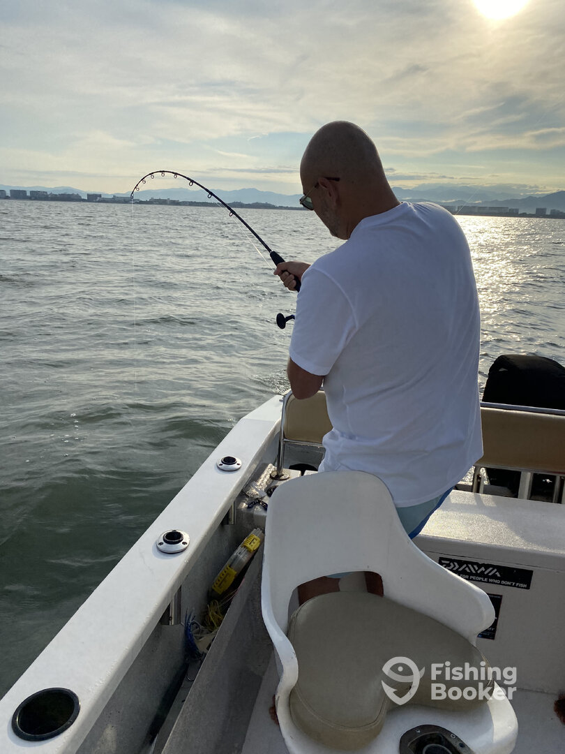 Puerto Vallarta Report Photo 0