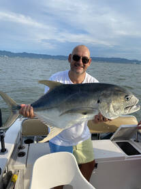 Puerto Vallarta Report Photo 2