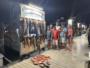 Amberjack & Gag Groupers Offically Open!