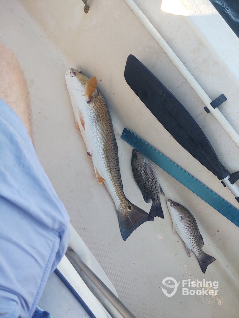 St. Augustine Report Photo 0