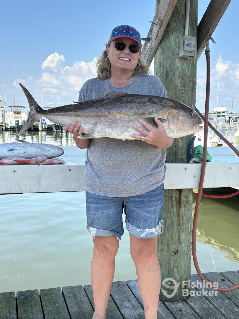 Gulf Shores Report Photo 0