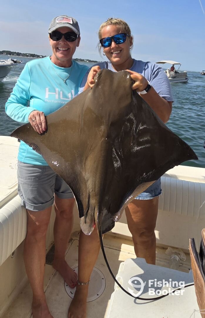 Ocean City Report Photo 0