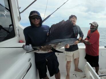 Nice Sailfish on board