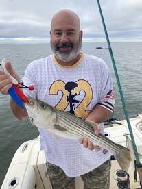 Rockfish are starting to get hungry!