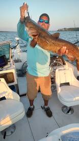 Catfish Sue