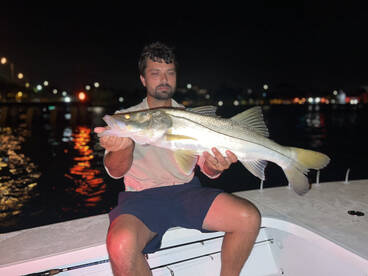 Snook Season!