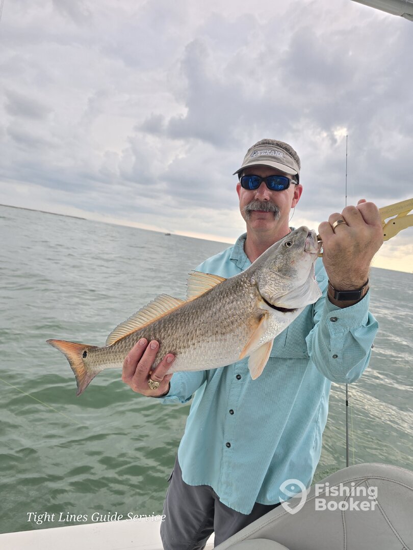 Port O'Connor Report Photo 0