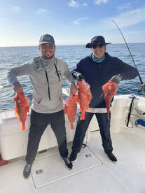 Dana Point Report Photo 1
