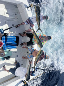 San Miguel De Cozumel Report Photo 4
