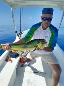 Great barracuda