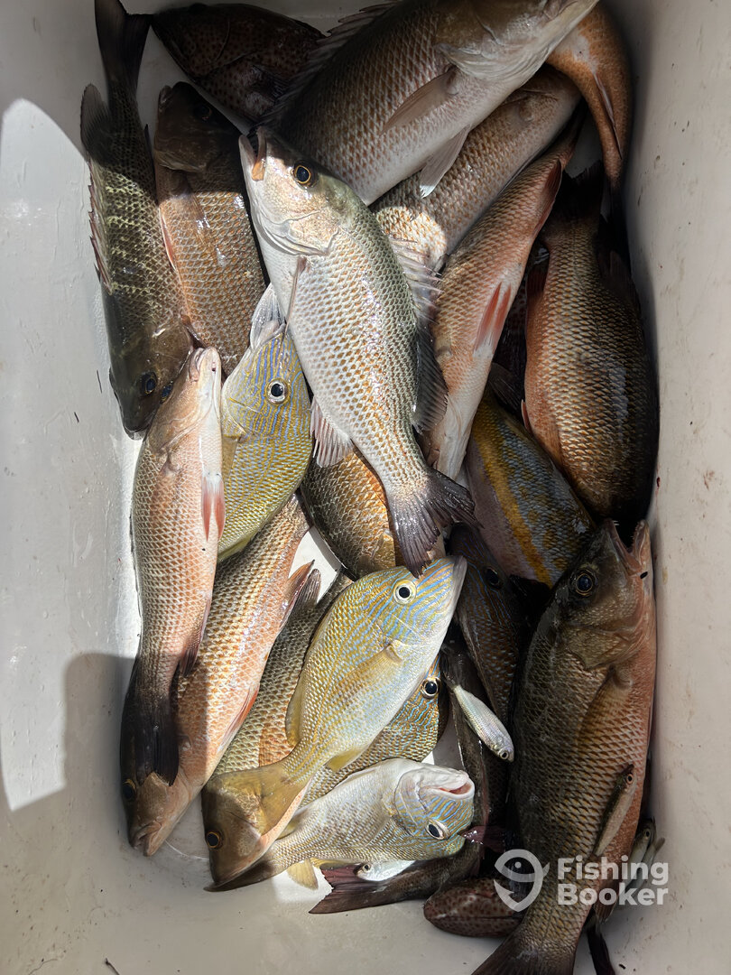 Key Largo Report Photo 0