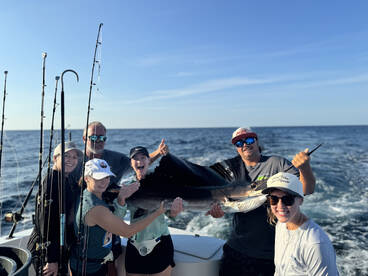 Sailfish On Championship Offshore Today!