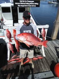 15.3 lbs
