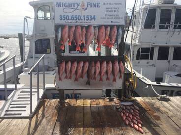 Destin Report Photo 1