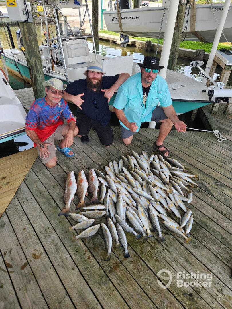 New Orleans Report Photo 0