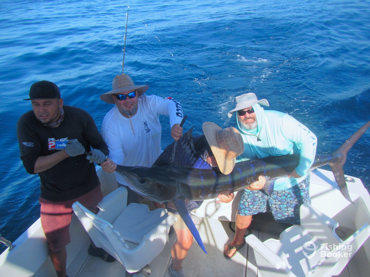 Cabo San Lucas Report Photo 0