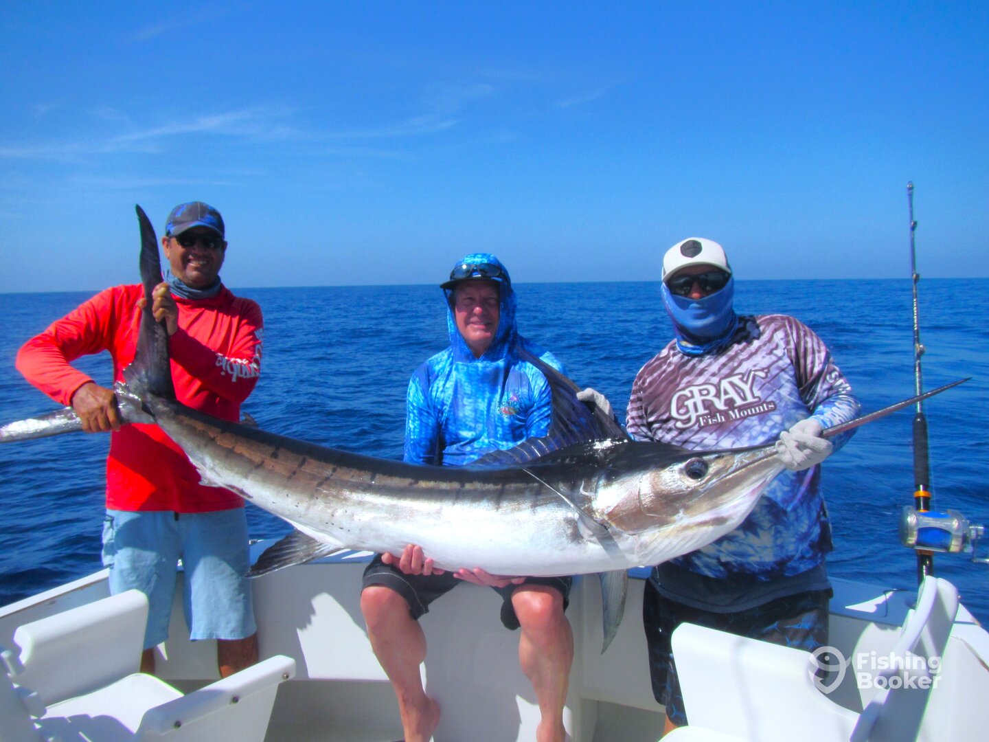 Cabo San Lucas Report Photo 0