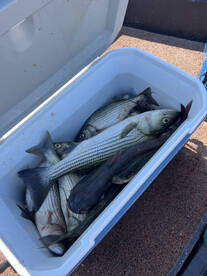 Cooler weather on the way! 