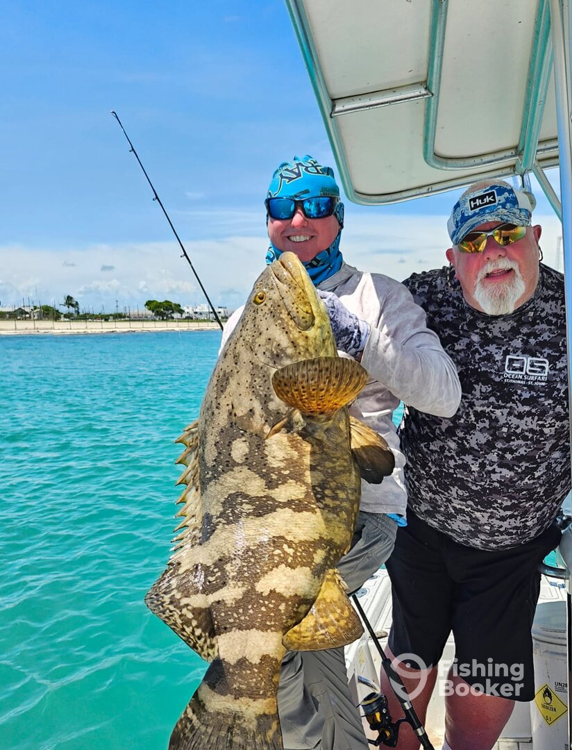 Caught and released a nice Goliath grouper