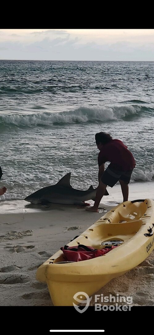 Destin Report Photo 0