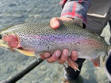 Cooper Landing Report Photo 2