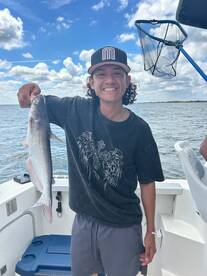 We Targeted Blue Cats on Today's Intro t