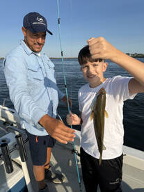 New York City Report Photo 2