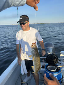 New York City Report Photo 1