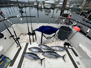 La Push Report Photo 2