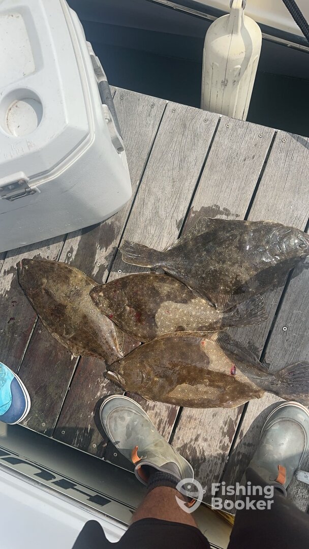 Cape May Report Photo 0