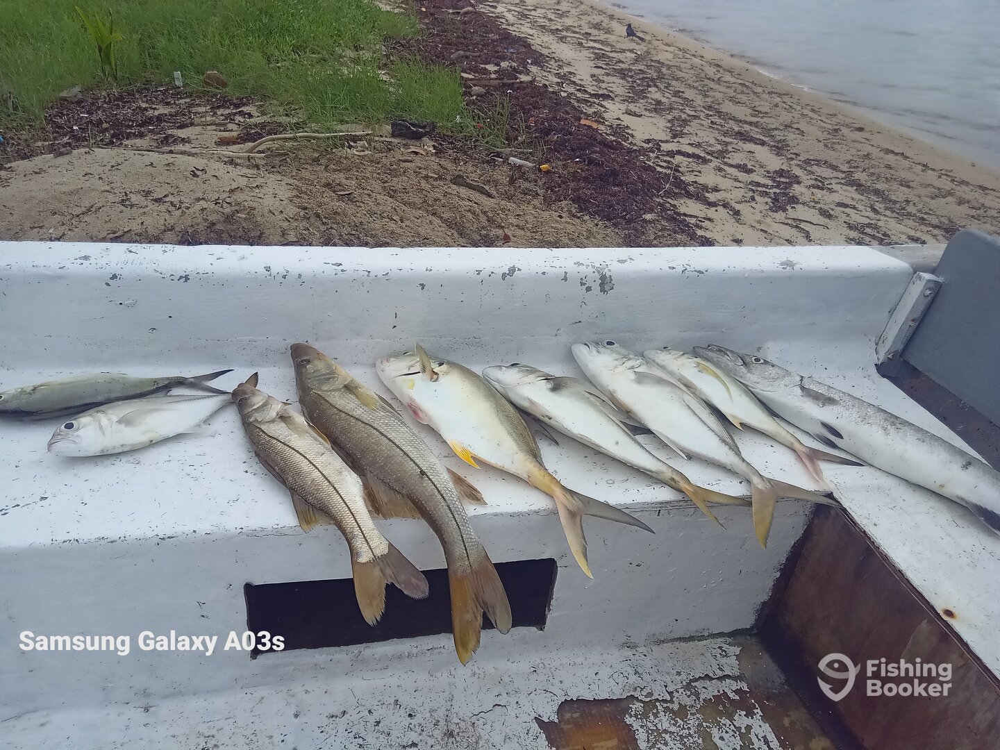 Belize Report Photo 0