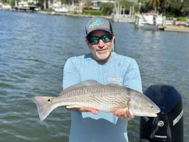 Sarasota Report Photo 2