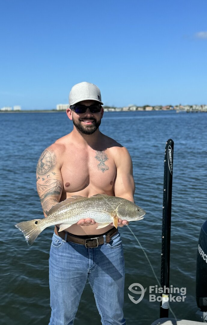 Sarasota Report Photo 0