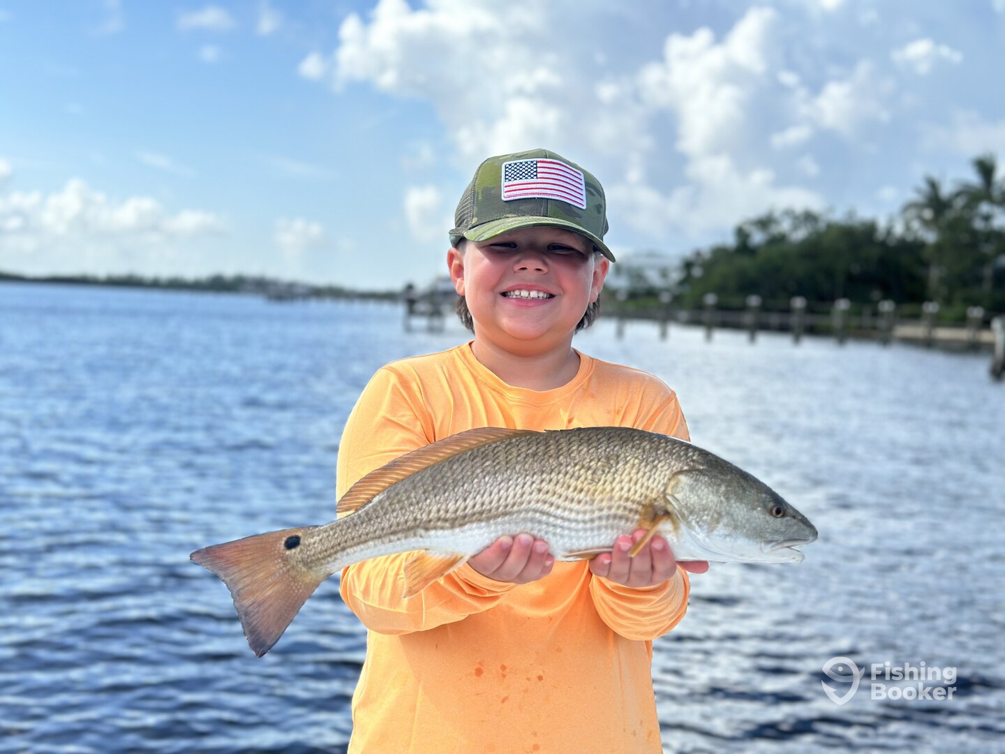 Sarasota Report Photo 0